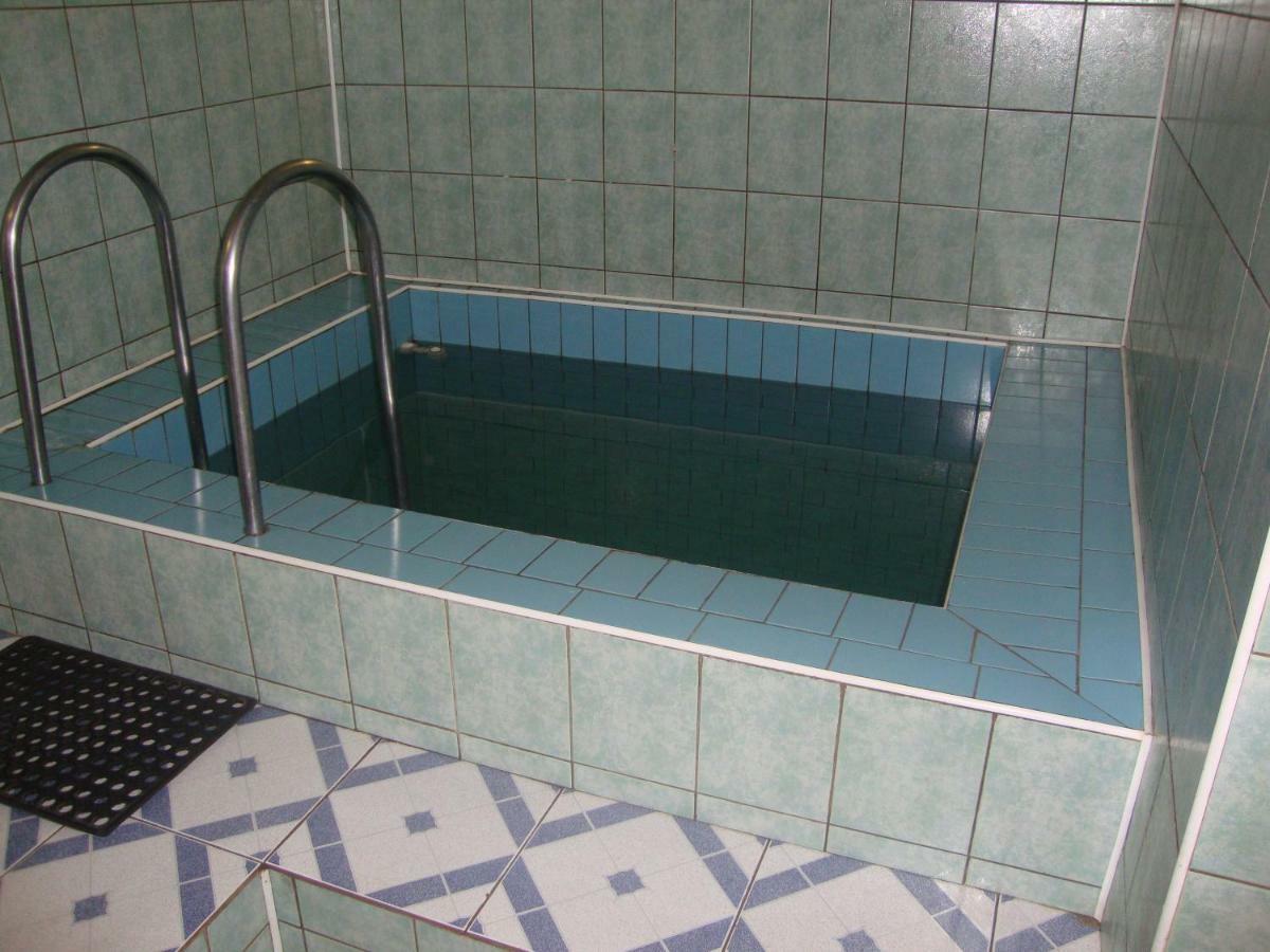Апартаменты Domik S Saunoy Na Ogiyenko Каменец-Подольский Экстерьер фото